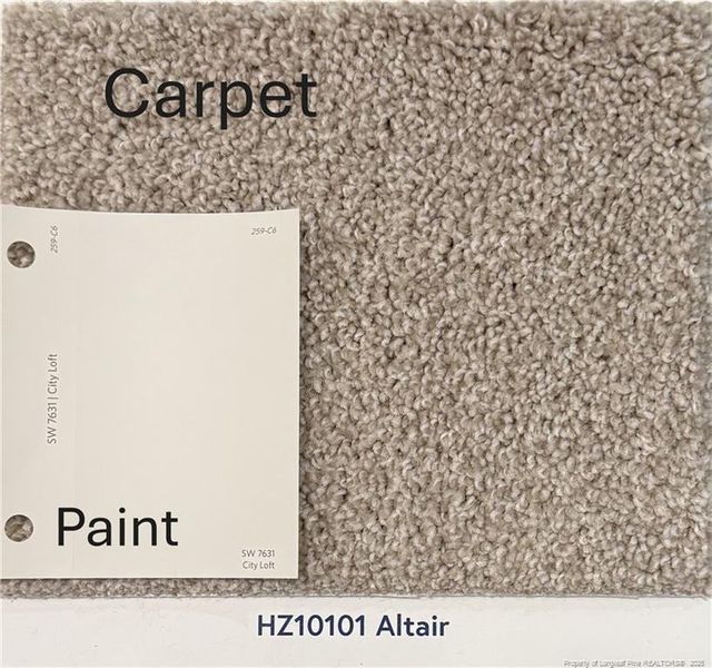 Carpet & Paint