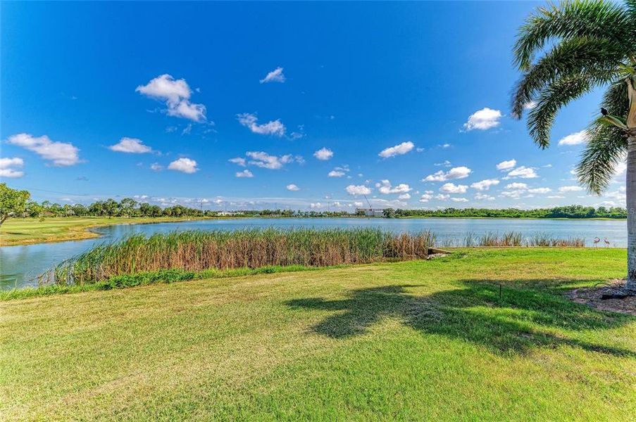 Natural landscape and outdoor views near in Palmetto (Image 58). Natural landscape and outdoor views near in Palmetto (Image 58).
