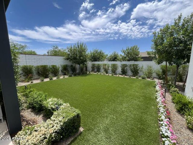 turf backyard