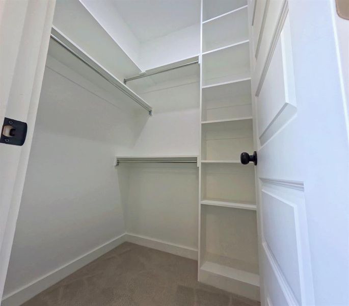 Walk in closet featuring dark colored carpet Walk in closet featuring dark colored carpet