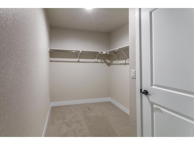 Spacious, unfurnished interior of a new home in Wilson Commons, Loveland (Image 29).