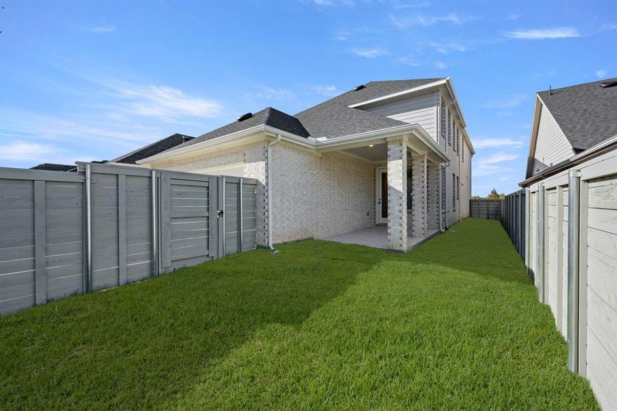 3_8776 Treeline- Back-2