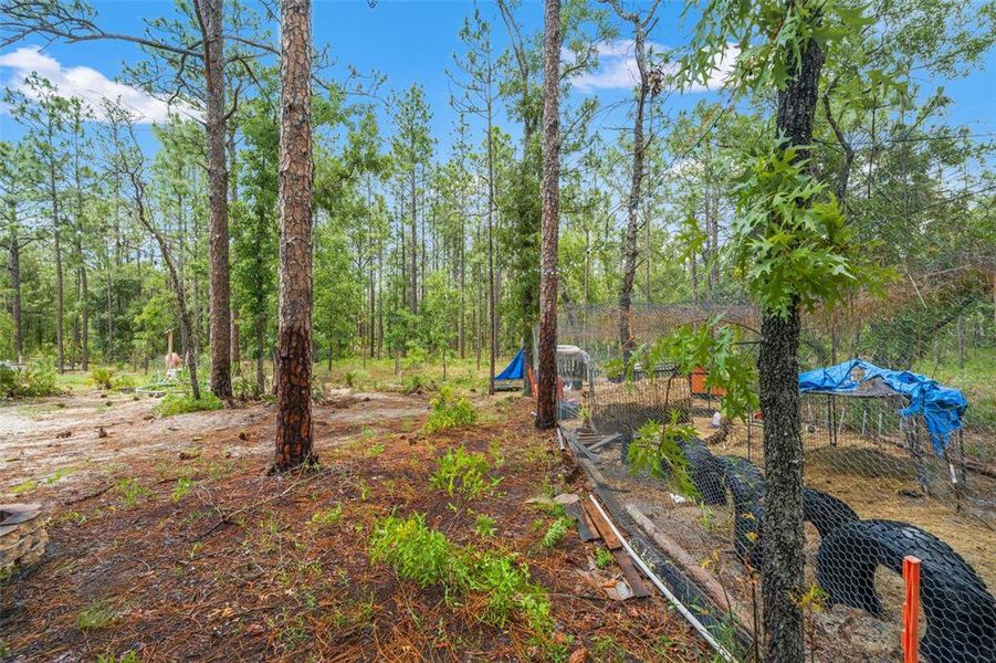 Natural landscape and outdoor views near Royal Highlands in Brooksville (Image 41).