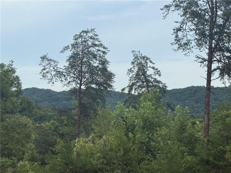 Natural landscape and outdoor views near Blue Mountain Creek in Morganton (Image 7). Natural landscape and outdoor views near Blue Mountain Creek in Morganton (Image 7).