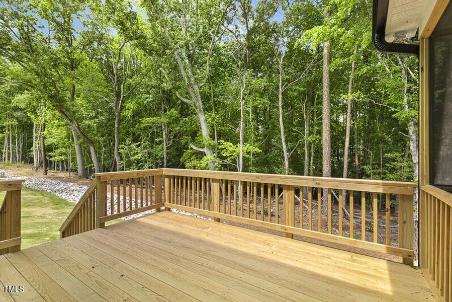 54563789121_418c9f9df8_c