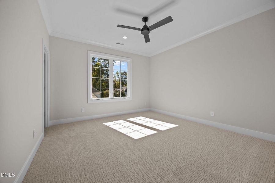 50-web-or-mls-IMG_3841