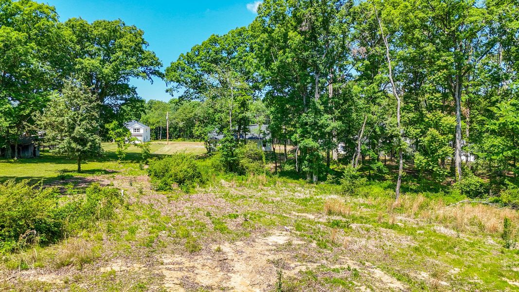Natural landscape and outdoor views near Woodland Farms in Dickson (Image 34).