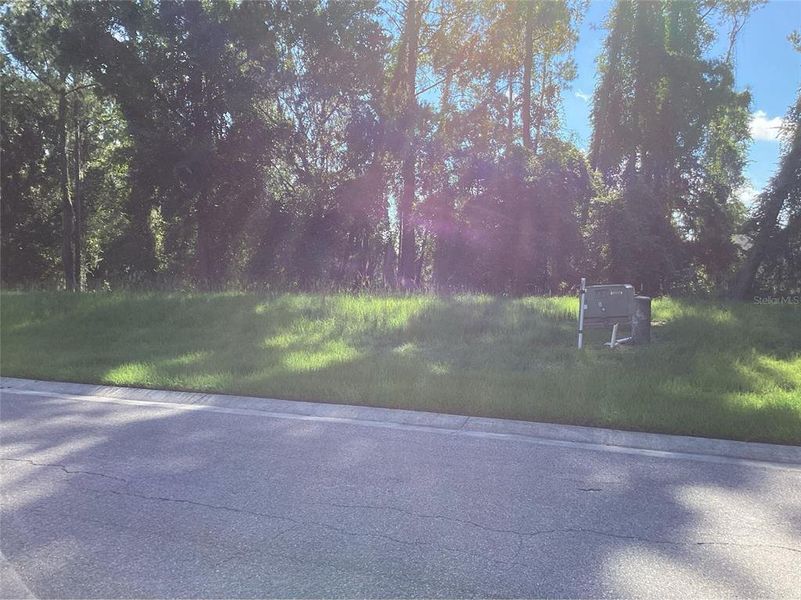 Natural landscape and outdoor views near in Brooksville (Image 14). Natural landscape and outdoor views near in Brooksville (Image 14).