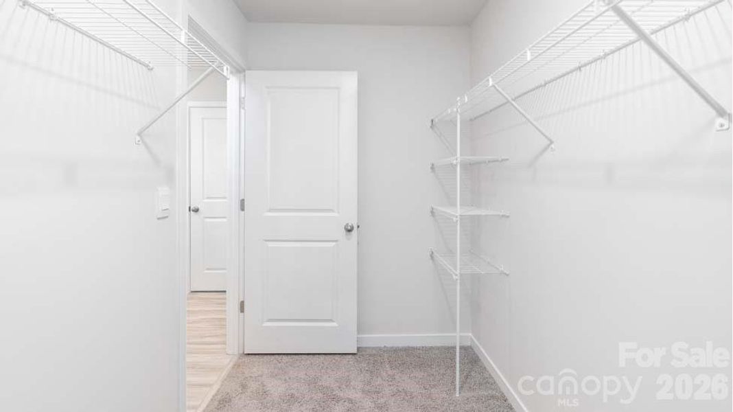 Spacious, unfurnished interior of a new home in Reedy Creek Preserve, Charlotte (Image 20).