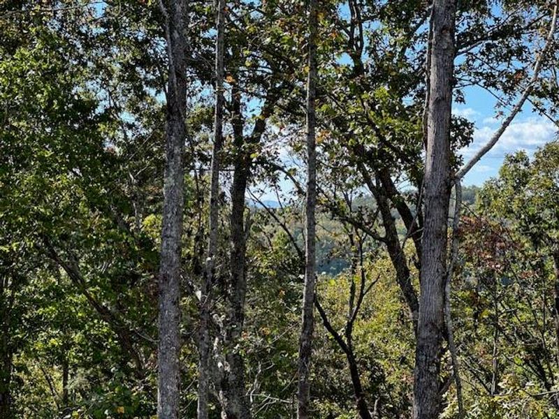 Natural landscape and outdoor views near  in Dahlonega (Image 74).