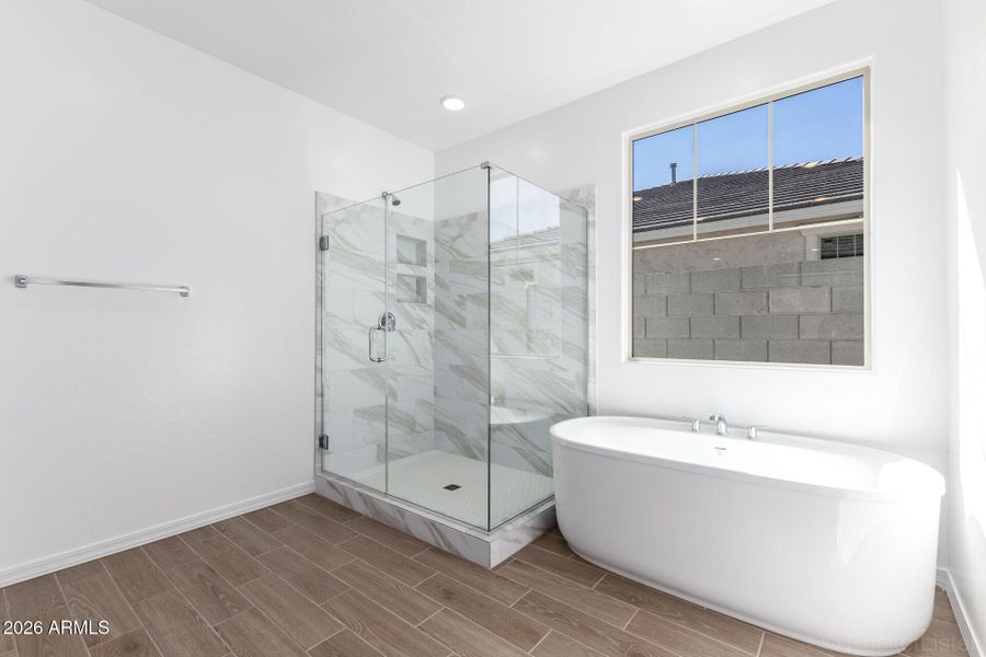 Primary Shower Tub Primary Shower Tub