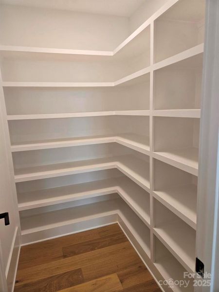Walk-in kitchen pantry