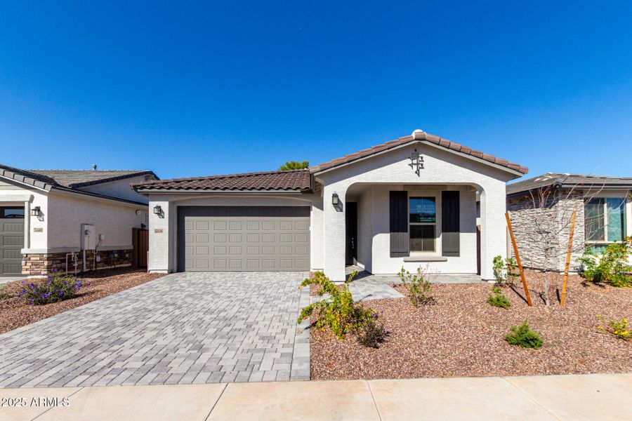 01 - Las Palmaritas 01 - Las Palmaritas