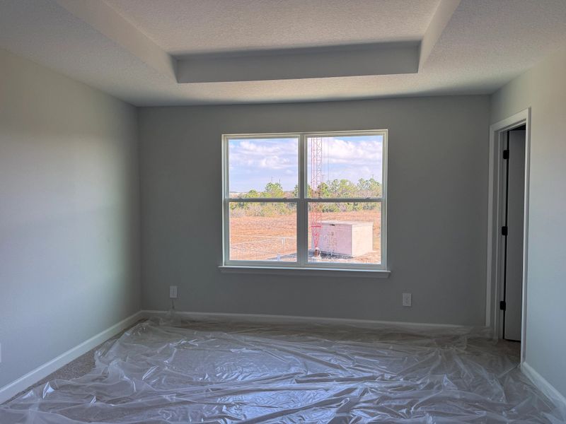 Generous primary suite features a tray ceiling and expansive windows