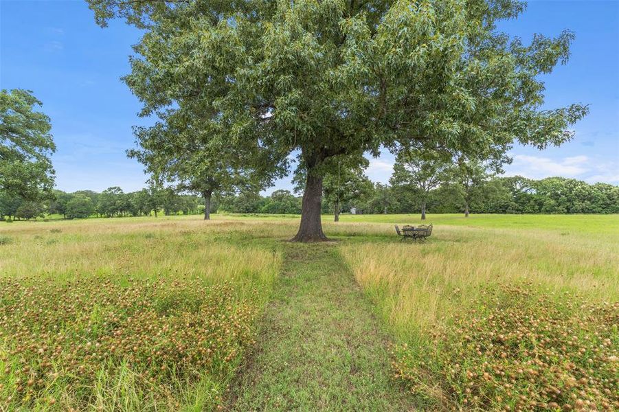 Natural landscape and outdoor views near  in Edgewood (Image 36).