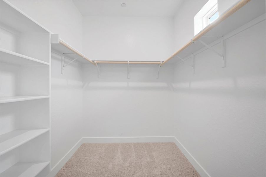 Owner's Closet