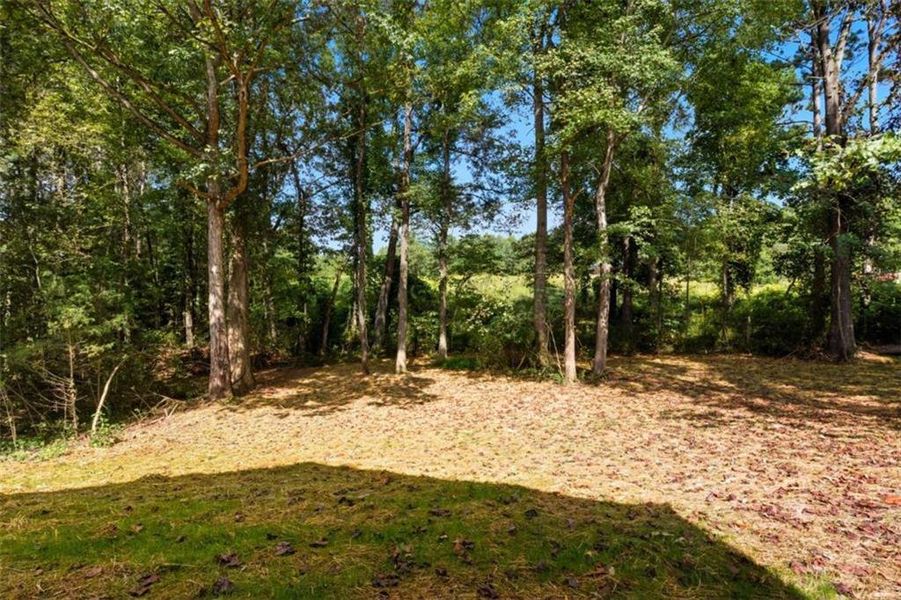 Natural landscape and outdoor views near in Toccoa (Image 22). Natural landscape and outdoor views near in Toccoa (Image 22).