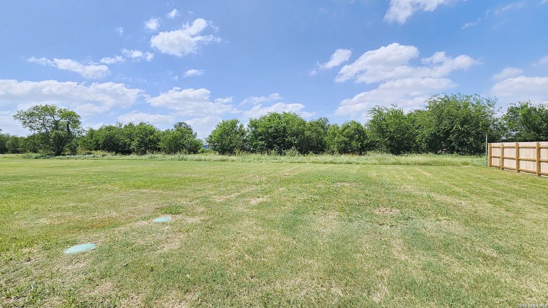 Natural landscape and outdoor views near  in Atascosa (Image 39).