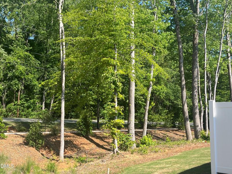 Rear yard w privacy fencing