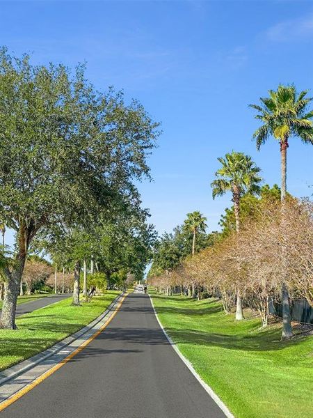 Natural landscape and outdoor views near  in Auburndale (Image 46).