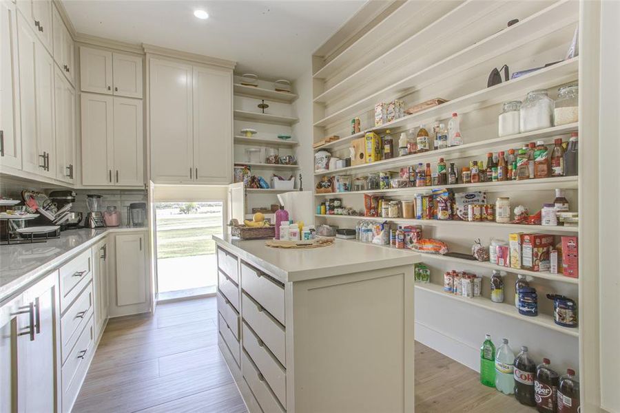 Pantry featuring a Costco door, lots of storage, island