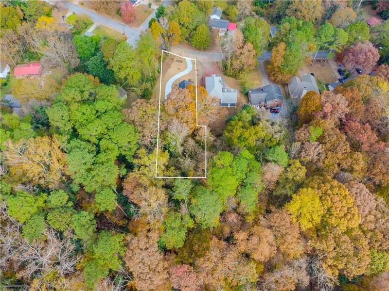 Natural landscape and outdoor views near  in Atlanta (Image 31).