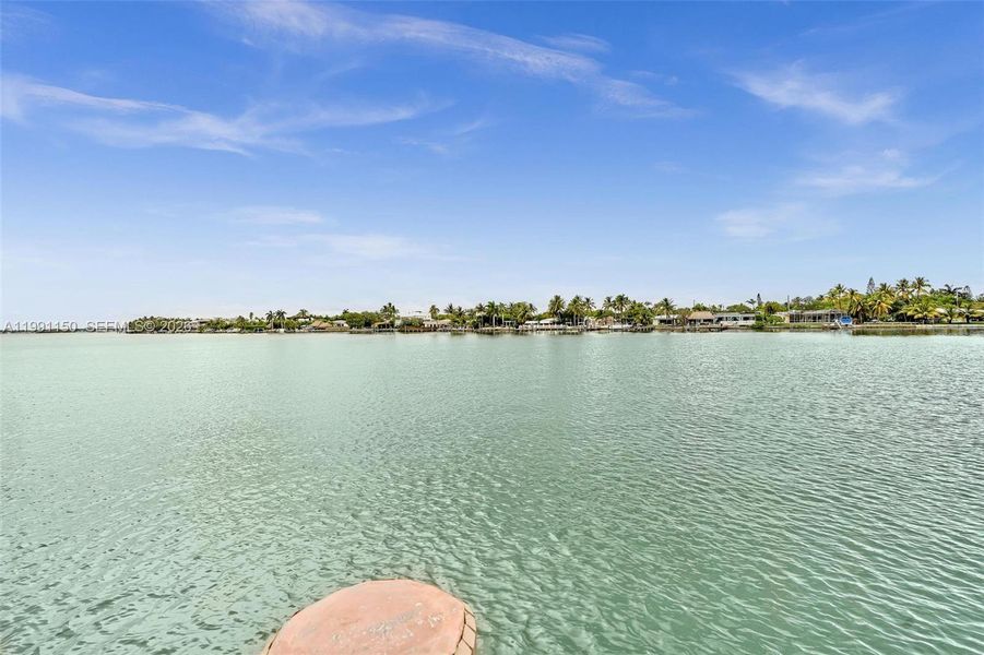 Natural landscape and outdoor views near  in Miami Beach (Image 36).