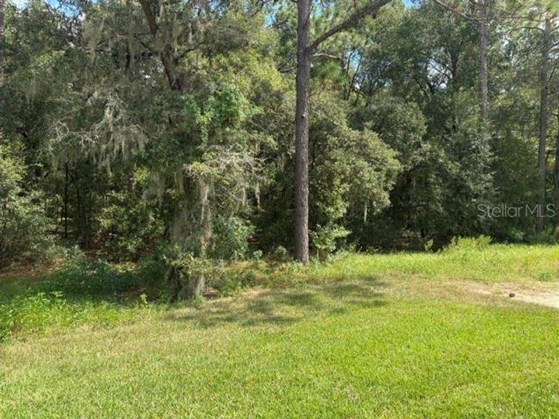 Natural landscape and outdoor views near Juliette Falls in Dunnellon (Image 11).