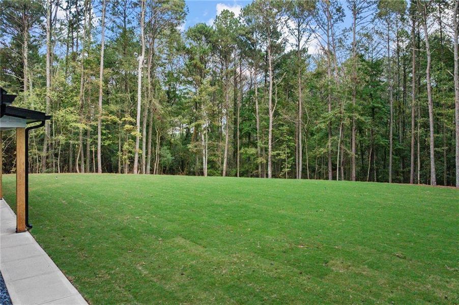 Natural landscape and outdoor views near  in Winder (Image 45).