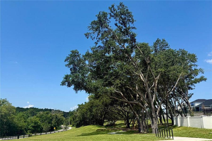 Image 17 of a home in Wolf Lake Ranch.
