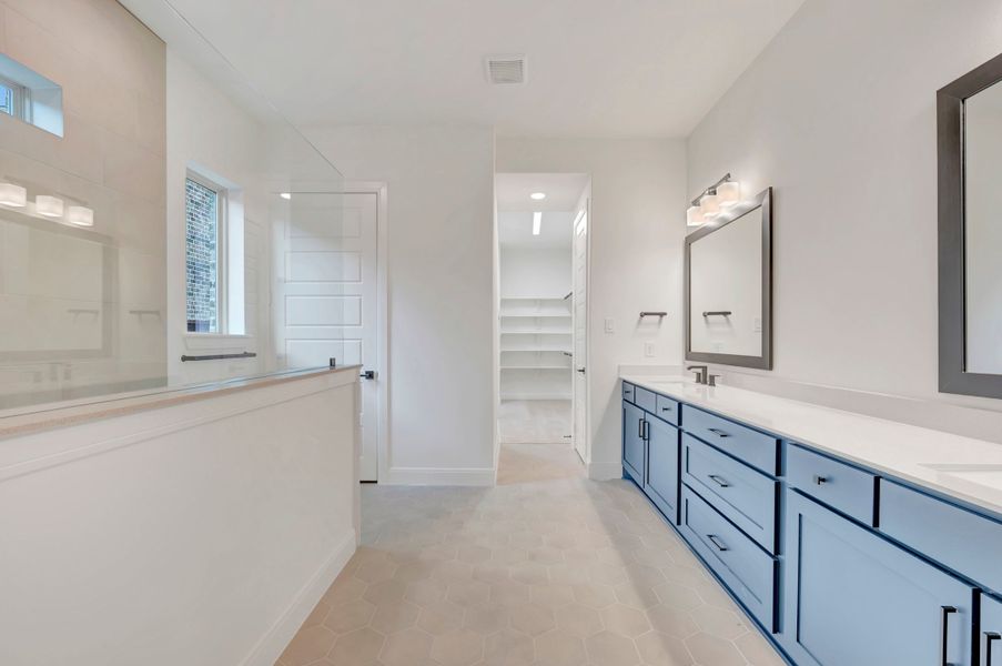 Owner's Bath