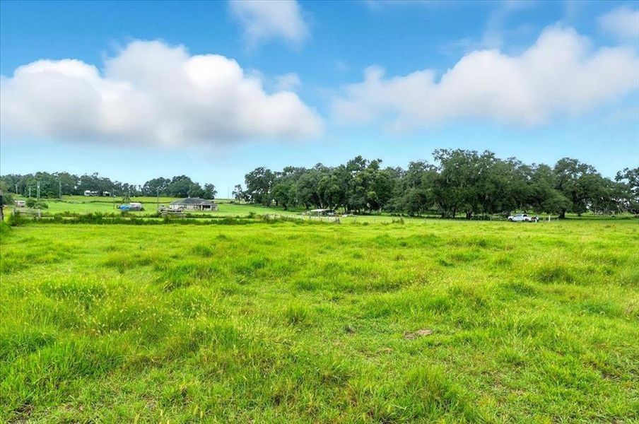 Natural landscape and outdoor views near  in Dade City (Image 10).