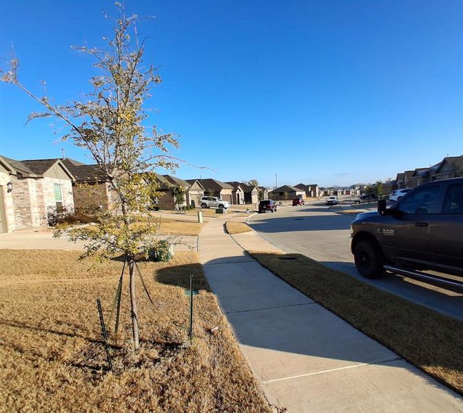 Community amenities in , Anna (Image 14).