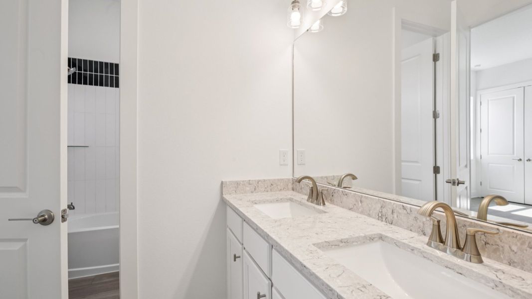 The Jack and Jill Bathroom