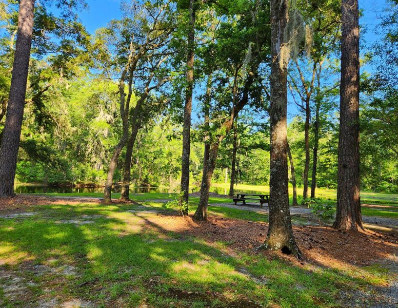 Natural landscape and outdoor views near  in Seabrook (Image 79).