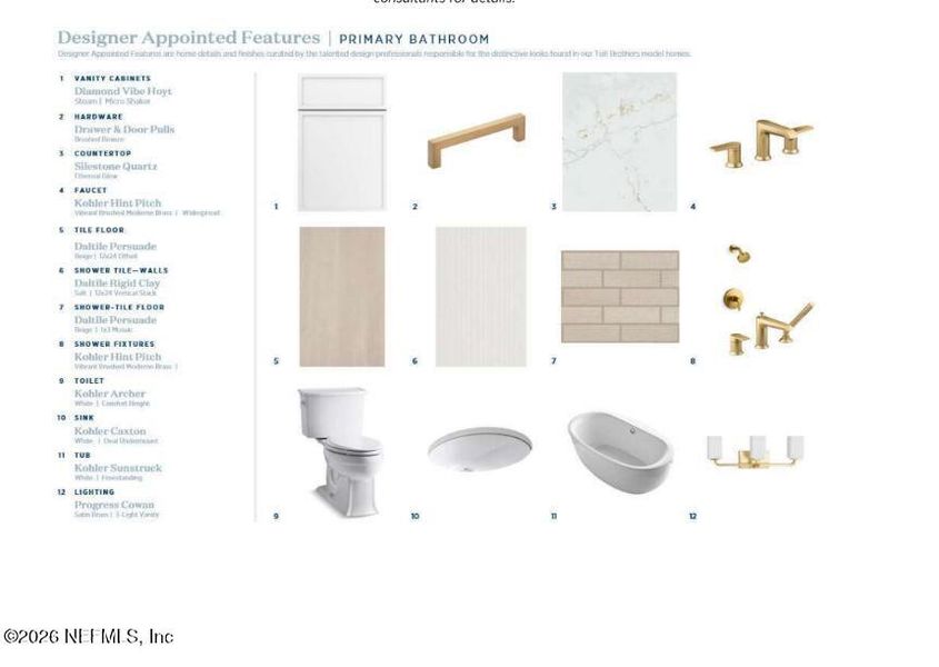 Sample of building materials used in homes in , St. Johns (Image 8).