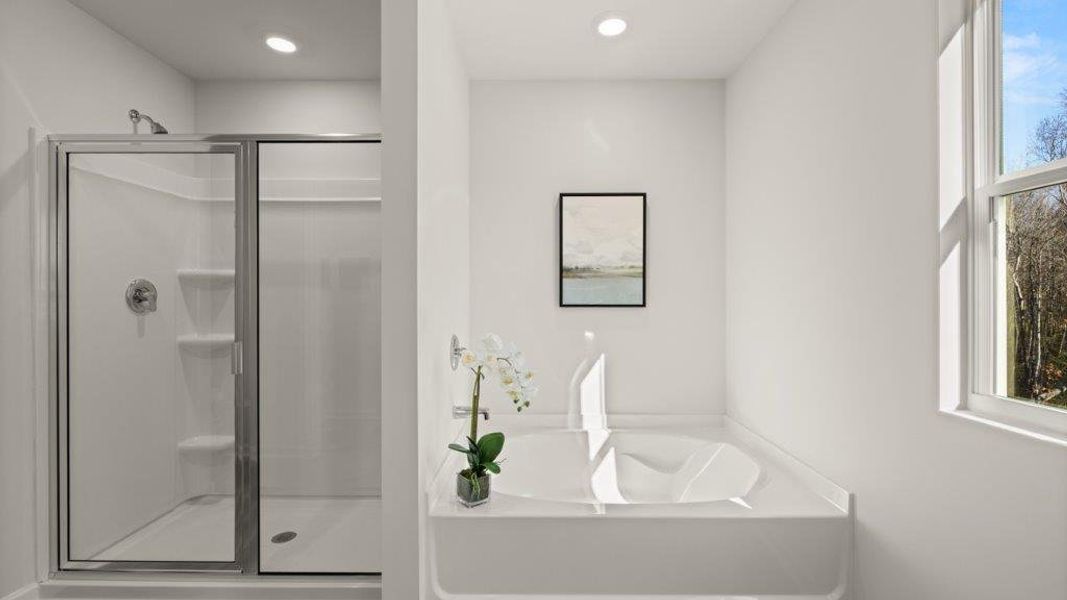 Image 59 representing the GALEN by D.R. Horton in Oconee Overlook, Gainesville, GA. Image 59 representing the GALEN by D.R. Horton in Oconee Overlook, Gainesville, GA.