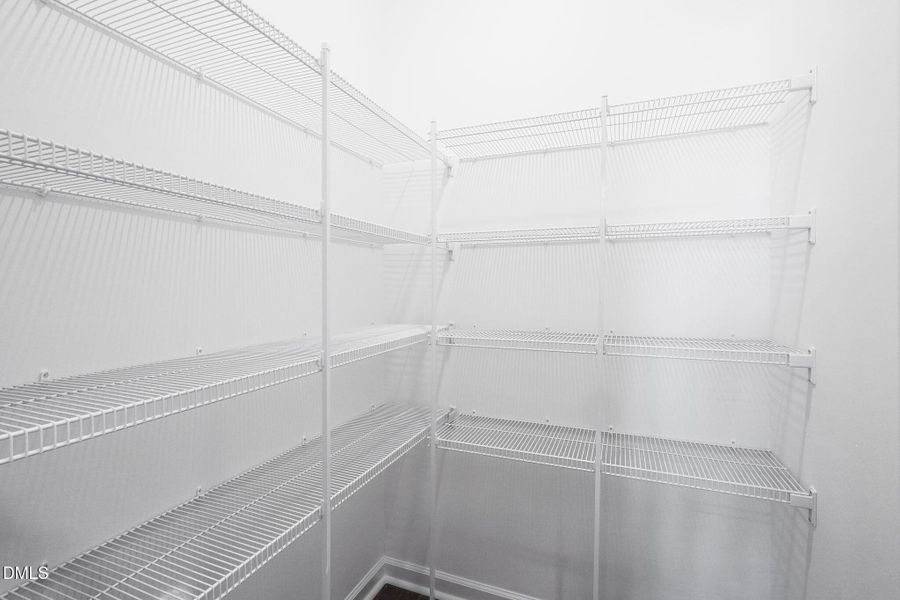 SUN_CaitlinCrossing_Pic_Davidson-32