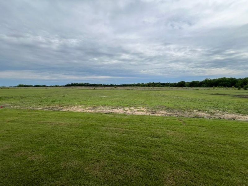 Natural landscape and outdoor views near Fannin Ranch in Leonard (Image 26). Natural landscape and outdoor views near Fannin Ranch in Leonard (Image 26).