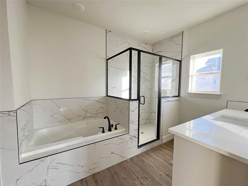 Photos Taken 12-19-2025