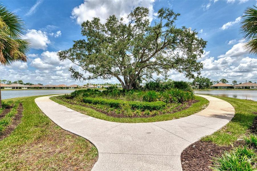 Natural landscape and outdoor views near  in Venice (Image 41).