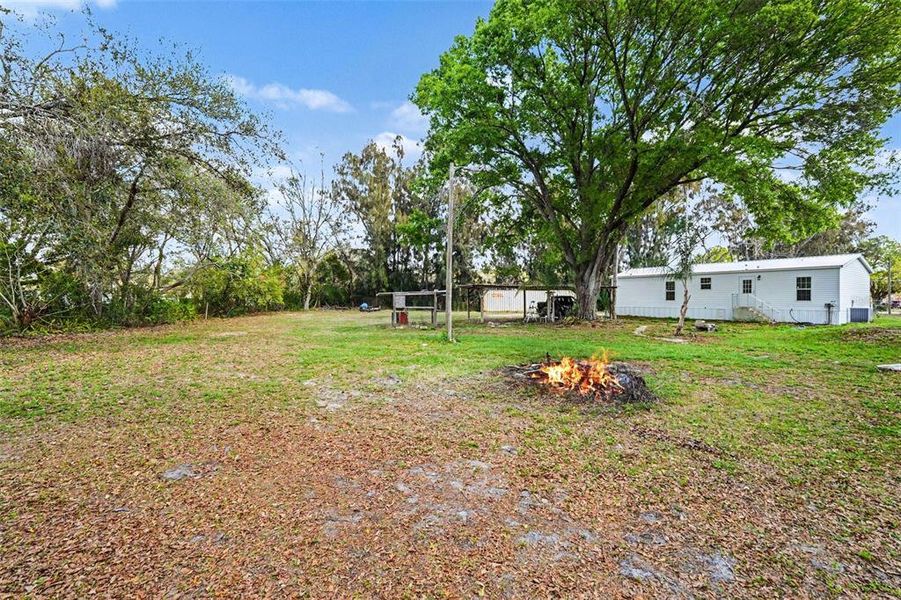 Natural landscape and outdoor views near  in Riverview (Image 25).