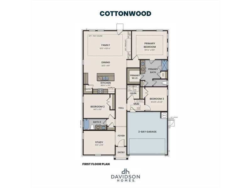 2D floor plan layout for the The Cottonwood E by Davidson Homes LLC in Woods Crossing, Gallatin, TN (Image 3).