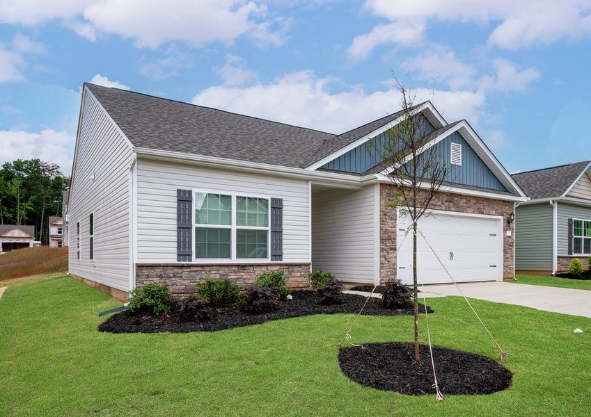 Angled-view of the Ashe Angled-view of the Ashe