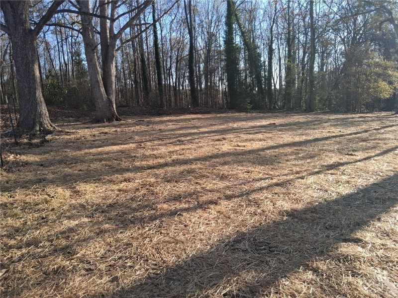 Natural landscape and outdoor views near  in Toccoa (Image 39).