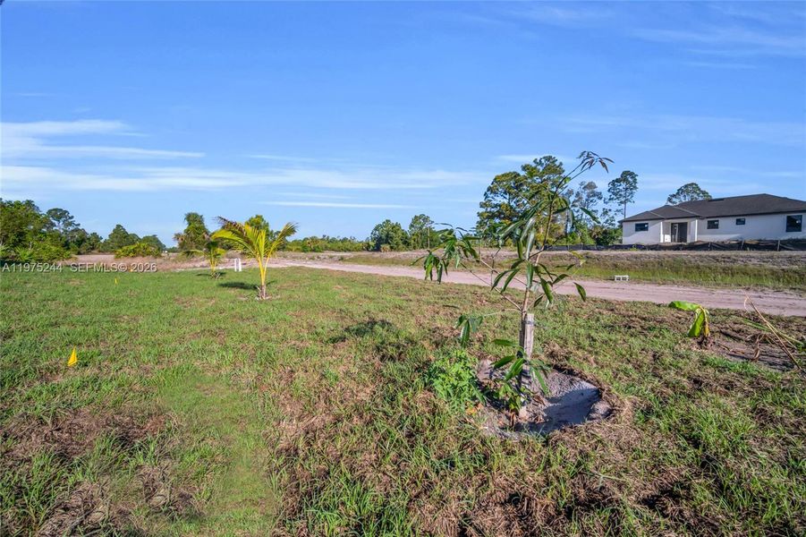 Natural landscape and outdoor views near  in Lehigh Acres (Image 27).
