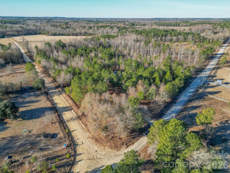 Natural landscape and outdoor views near  in Pageland (Image 37).