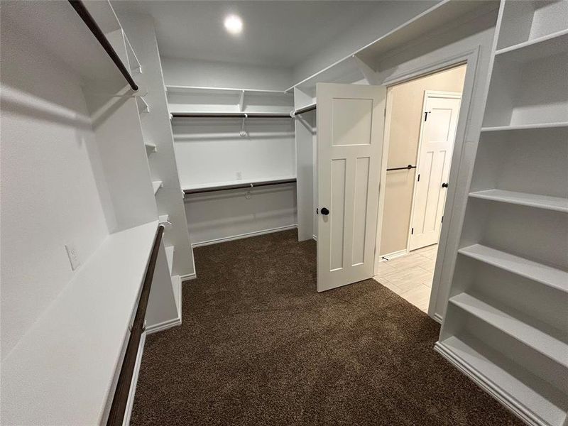 Spacious closet with dark carpet