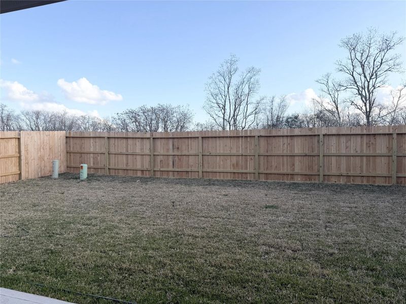 Progress photo Progress photo