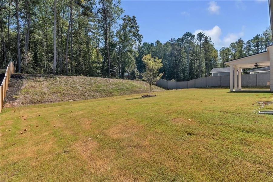 Natural landscape and outdoor views near Springside Reserve in Powder Springs (Image 37).
